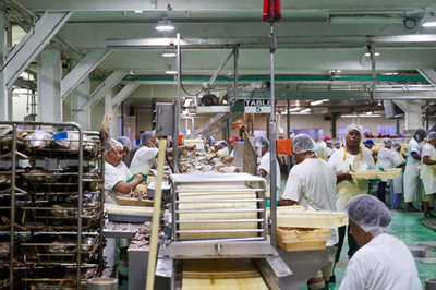 創新驅動，破局求生 美國金槍魚罐頭市場如何以產品革新重振需求